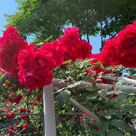 Guest House Smile Kobuleti ภายนอก รูปภาพ