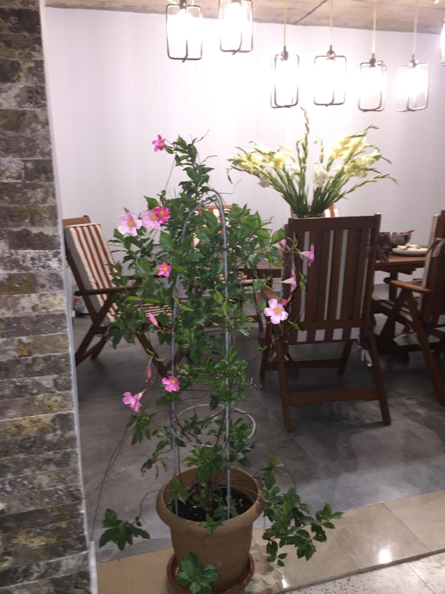 Guest House Smile Kobuleti ภายนอก รูปภาพ