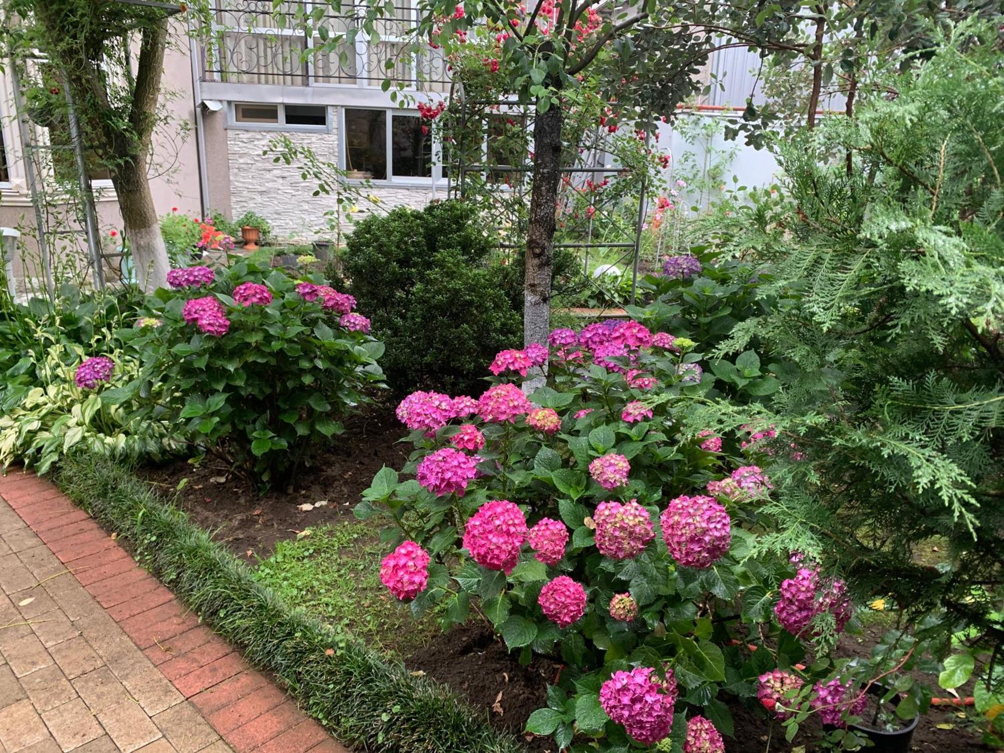 Guest House Smile Kobuleti ภายนอก รูปภาพ