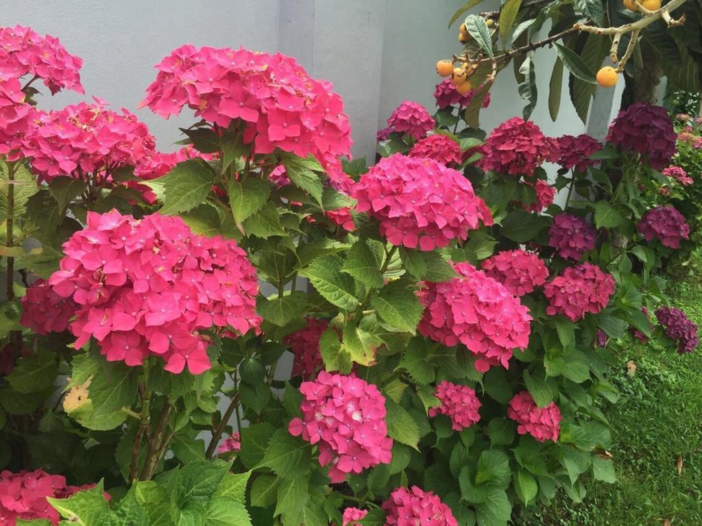 Guest House Smile Kobuleti ภายนอก รูปภาพ